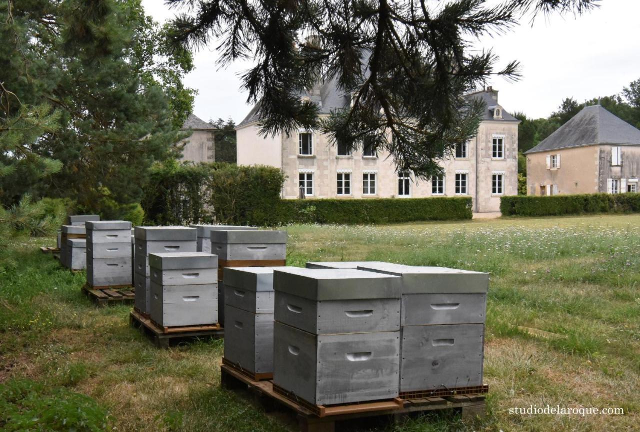 Domaine De La Briouse Bed & Breakfast Sanxay ภายนอก รูปภาพ