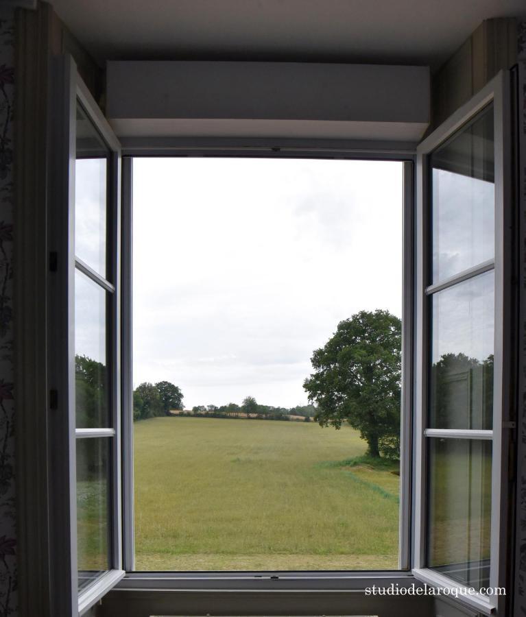 Domaine De La Briouse Bed & Breakfast Sanxay ภายนอก รูปภาพ