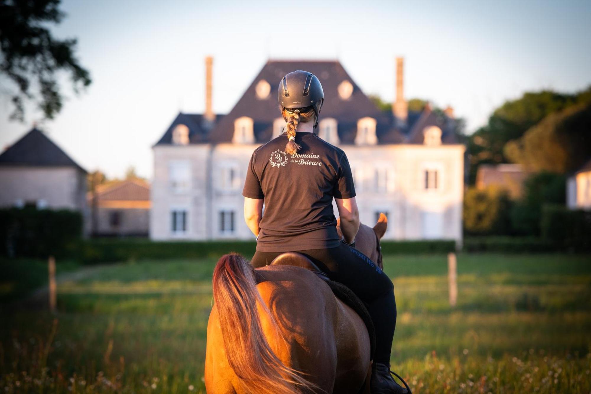 Domaine De La Briouse Bed & Breakfast Sanxay ภายนอก รูปภาพ