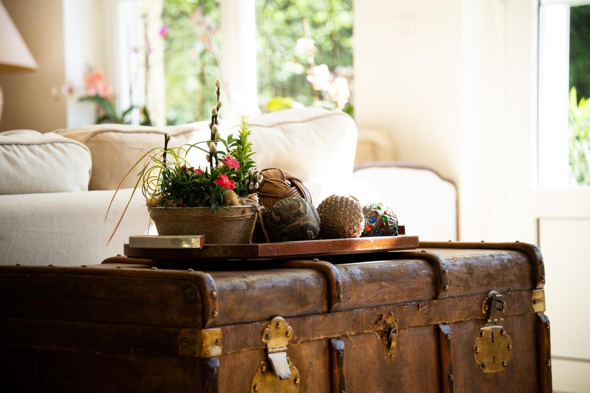Domaine De La Briouse Bed & Breakfast Sanxay ภายนอก รูปภาพ